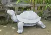  Product image 2 of the product “Big Turtle, 85 cm Length | cast stone ”